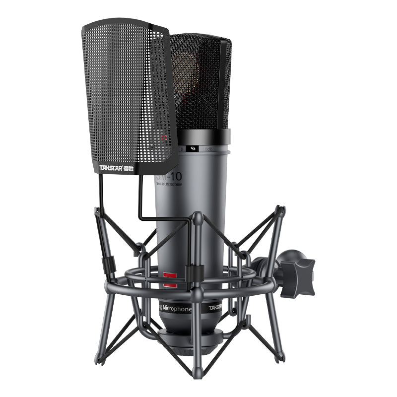 TAKSTAR SM-10 Professional Recording Microphone