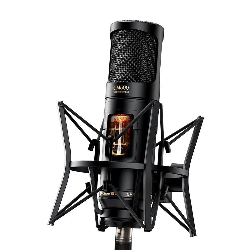 TAKSTAR CM500 Tube Microphone