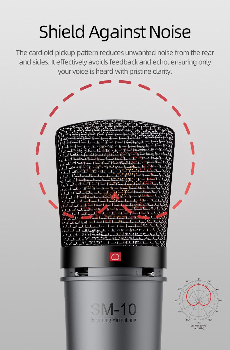 TAKSTAR SM-10 Professional Recording Microphone