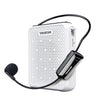 Takstar E300W Wireless Portable Voice Amplifier