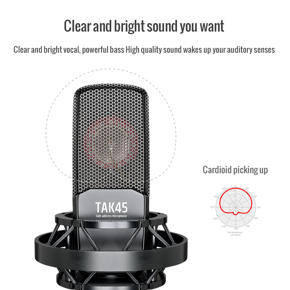 Takstar TAK45 Studio Condenser Microphone Cardioid Picking up pattern 